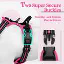 rabbitgoo Dog Harness No Pull with 2 Leash Clips, Adjustable Soft Padded, Reflective Oxford No Choke Pet Vest with Easy Control Handle for Large Dogs, Black & Hot Pink, L