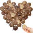 Riceshoot 20 Pcs 2 Inches Coconut Shell Buttons Coconut 2 Holes Button Sewing Buttons for Shirt DIY Crafts Decorations