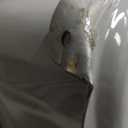 Dorman 576-343 Fuel Tank Compatible with Select Chevrolet/GMC Models