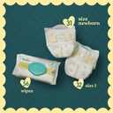 Pampers Gift Set, Disposable Diapers, Sensitive Wipes, & Milestone Gifts, 1-12 months