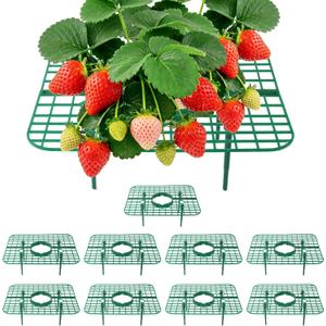 Strawberry Plant Support, 10 Pack, Raised Grid Stand to Keep Strawberries Off the Ground, Strawberry Holder for Garden Beds, Raised Planters & Pots (Square)