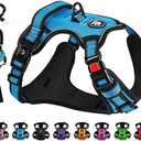 NESTROAD No Pull Dog Vest Harness with Leash, Adjustable Reflective Oxford Pet Harness with Easy Control Handle for Small Dogs, Blue S