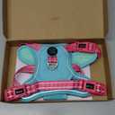 PHOEPET No Pull Dog Harness, Unique Colors Reflective Adjustable Dog Vest, with Soft Training Handle Metal Clips for Small Medium Large Dogs (Mint Green Base & Pink Straps,S)