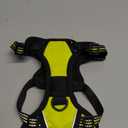 rabbitgoo Dog Harness No Pull with 2 Leash Clips, Adjustable Soft Padded, Reflective Oxford No Choke Pet Vest with Easy Control Handle for Puppy, Green, XS (Wild Lime)