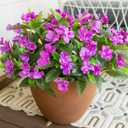 HyeFlora Artificial Fake Fall Flowers Plants Outdoor,3 PCS 7 Branches Artificial Impatiens Flowers for Outside,Faux Impatiens Bouquet Silk Greenery Plants for Balcony Garden Window Box Home Decor