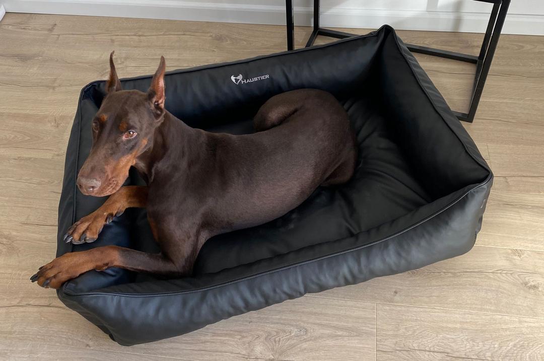 Dog Bed Insert 36in x 28 Black Spiked Pillow