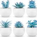 Der Rose 6 Pack Blue Succulents Plants Artificial in Pots Small Fake Plants for Blue Bathroom Bedroom Home Decor Aesthetic Home Decor