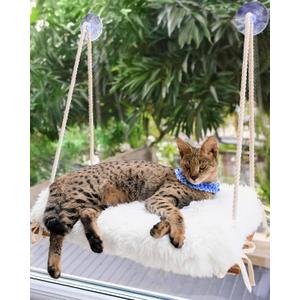 Cat Window Perch for Large Cats - Hammock Bed for Heavy Indoor Cats - Solid Wood Seat, 5 Strong Suction Cups, Soft Cushion - Rustic Shelf for Pets Inside (Brown/White)