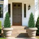 3FT Artificial Cedar Topiary Trees Set of 2, Realistic Fake Plants with Ground Spike, UV Resistant Faux Plants Indoor Artificial Plants Outdoor Fake Tree for Porch Garden Home Offices Décor