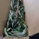 6FT Artificial Olive Tree, Realistic Faux Tree with Leaves and Fruits for Indoor Home & Office Decor