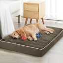 WNPETHOME Orthopedic Giant Human Dog Beds for Adult & Dog Cozy Sleep