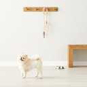 Amazon Basics Male Dog Diapers, 30 Count, X-Small, Ultra Absorbent Disposable Wrap with Secure Fit, Leakproof and Comfortable (14.5x7.5Inch)