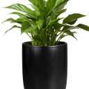 Ceramic Planter 8 Inch - Plant Pot for Indoor Outdoor Plants Cylinder Flower Pot with Drainage Hole and Saucer Black