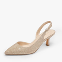 DREAM PAIRS Women's Kitten Heels Slingback Closed Pointed Toe Low Pumps Shoes Women Party Wedding Sexy Casual Dress Shoes,Size 10, Gold-Glitter