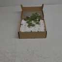 N&T NIETING Artificial Flowers 50pcs Real Touch White Flowers Artificial Roses for Decoration for DIY Wedding Bouquets Bridal Centerpieces Floral Shower Party Tables Home Arrangement