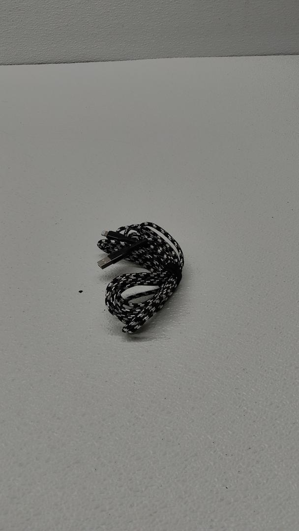 ZGR 10FT ENDURATECH LIGHTNING CABLE