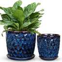 Hollyone Blue Ceramic Pot for Plants Flowers Ceramic Planter with Drainage Hole and Saucers 8 + 6.5 Inch Set of 2 Glaze Round Flower Plant Pot for Indoor Outdoor Large Succulent Orchid Flower Pot
