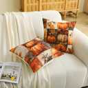Fall Pillow Covers 18x18 Inch Set of 2 Autumn Pumpkins Maple Leaf Cushion Cases for Porch Sofa Couch Home Decoration