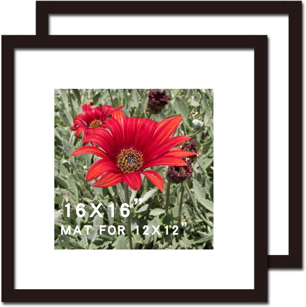 16x16 Picture Frame Black 2 Pack Solid Wood for Mat 12x12 Wall Mounting Square Poster Photo Frames (16x16 INCH)