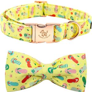 Elegant Little Tail Bowtie Dog Collar for Small to Large Dogs (X-Large (Pack of 1), Flip Flops)