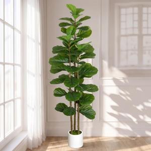 Artificial Fiddle Leaf Fig Tree in Modern White Planter, 5ft
Large Fake Tree with 3 Sturdy Trunks, Fake Plants with Moss, Lifelike Tall Artificial Plants Indoor for Office Home Decor