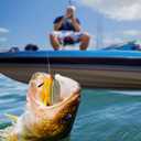 Pristis Jig Head Fishing Lures for Freshwater Saltwater, Weedless Swim Jig Teasers with Sharp Hooks & Exquisite Coating, Pre-Rigged Vibrating Swimbaits Kit Gear for Bass Crappie Walleye Trout Pike