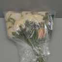 Ivydale 18pcs Champagne Roses Artificial Flowers, Fake Roses Silk Flowers with Stems Realistic Bouquet for Wedding Party Home Decoration DIY Centerpiece Floral Romantic Gifts