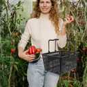 Healifty Plastic Shopping Basket with Handles Dark Grey Desktop Basket Storage Container 15.35 X 11.41 X 7.87 in for Grocery Cosmetics Retail Displays Supermarkets Fruit Stores