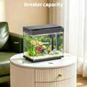 3 Gal Glass Fish Tank Kit with Filter & Light