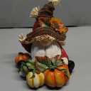 Hodao Fall Thanksgiving Pumpkin Gnomes Decorations Handmade Swedish Tomte Elf for Fall Decor Gift - Thanksgiving Party Home Gnomes Decor - Autumn Gifts (Multicolor)