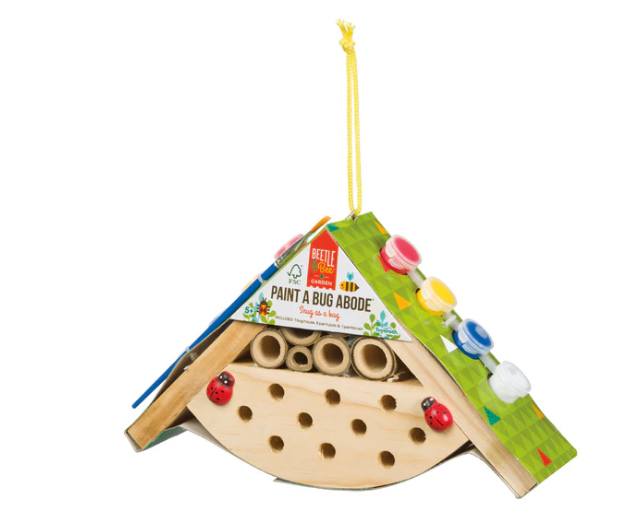 Paint a Bug Abode