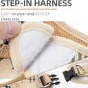PUPTECK Adjustable Dog Harness Collar and Leash Set Step in No Pull Pet Harness for Small Dogs Puppy and Cats Outdoor Walking Running, Soft Mesh Padded Reflective Vest Harnesses, Beige S