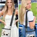 2 x FANGSUN Clear Crossbody Bag Stadium Approved, Clear Purse for Women, Transparent Shoulder Messenger Handbag for Concert Sport