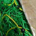 Electric Fence Netting, PE Net Fencing