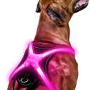 Light Up Dog HarnessMulticolor LED Dog Harness with 7 Lighting Modes | No Pull USB Rechargeable Safety Vest with Handle for Medium Large Dogs | Waterproof & Adjustable Glow-in-The-Dark Illuminated(M)