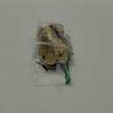 Franklin Sports Kids Baseball Glove + Foam Ball Sets - Meshtek Youth Teeball Gloves for Kids + Toddlers - Left + Right Hand Throw - 9.5" Inch