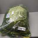 28 inch Big Green Sea Turtle Stuffed Animals Giant Soft Plush Toys, Large Ocean Turtle Plushies Body Pillow, Gifts for Kid Boys, Girls, Girlfriend, Birthday, Valentine's, Christmas