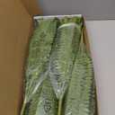 35" Fake Ferns, 4 Large Artificial Bonston Ferns Bushes Plants with 39 Fronds for Outdoors Garden Patio Porch Entrance Low Maintain Home Decor