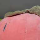 Juexica 2 Pcs Strawberry Plush Pillows Fruit Kids Pillow Soft Kawaii Strawberry Decor Aesthetic Cute Pillows Stuffed Strawberry Pillow for Room Home Car Decoration Birthday Gifts, Red Pink