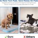 CUHIOY Dog Potty Tray Toilet 20"x14" - Indoor Pee Pad Holder with 8pcs Training Pads, Puppy Mesh Potty with Secure Latch for Small Medium Puppies - Blue