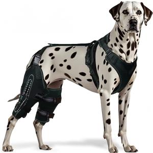 Dog Knee Brace for ACL, CCL, Arthritis, Joint Pain Hinged Leg Support for Torn Ligament, Luxating Patella, Rear & Hind Legs Orthopedic Compression & Mobility Recovery Wrap (Both Legs Extra Large)
