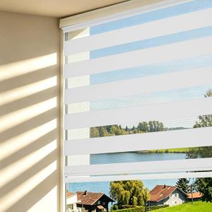 Roller Blind, Zebra Double Fabric Roller Blinds, Day and Night Opaque Insulating, Sunscreen Shade, for Windows Doors, Easy to Install (W140 x H180 cm/55 x 71 inches)