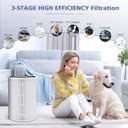 HAP604 Replacement Filters Compatible with ECOSELF HAP604 Air Purifier, 3-In-1 High-Efficiency Filter with Activated Carbon Filtration System, 2 Pack, White