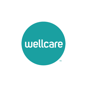 Wellcare Mini Tissues
