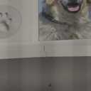 Pet Urns for Dogs - Dog Urns for Ashes, Suitable for All Pets - Includes Paw Print Kit, Picture Frame and Photo Book for a Lasting Tribute and Cherish Precious Memories (White)