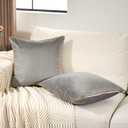 Aeckself Pack of 2 Gray Velvet Pillow Covers 18 x 18 Inch, Modern Luxury Decorative Pillowcase with Gold Trim Edge, Comfortable Soft Solid Cushion Case for Couch Bedroom Living Room (Grey)