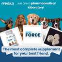 NutriForce 44-in-1 Multivitamin for Dogs – Daily Supplement for Hip & Joint, Skin & Coat, Immune, Digestion, Energy & Heart – 120 Chewable Tablets – Liver Flavor – All Breeds & Ages – Vet Recommended