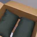 Sorra Home x Sunbrella Cast Ivy Outdoor/Indoor Corded Pillow Set of 2 12 in H x 18 in W x 6 in D