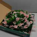 HMASYO 6 FT Pop Up Tinsel Christmas Tree with 100 Colored Timer Lights & Remote, Green Candy Collapsible Artificial Pencil Tree Xmas Decoration for Home, Office, Party, USB Powered, Easy Assembly