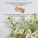 Daisies Flowers Artificial,Persian Leaf,Wild Flower Bouquet,20pcs,Tansy Greenery,Realistic, Silk Flowers for Home Decor Indoor, Wedding Bouquets(White)